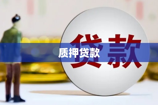 德格质押贷款