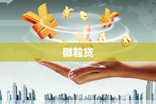 德格微粒贷