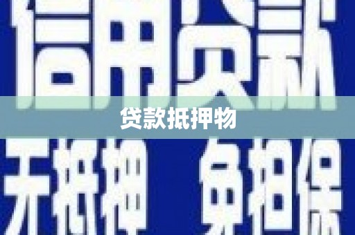 德格贷款抵押物