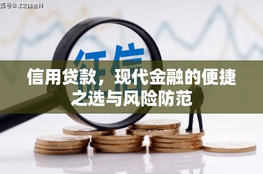 德格信用贷款，现代金融的便捷之选与风险防范