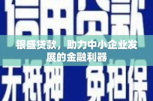 德格银盛贷款，助力中小企业发展的金融利器
