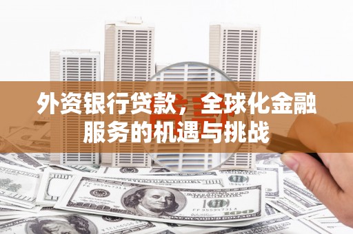德格外资银行贷款，全球化金融服务的机遇与挑战