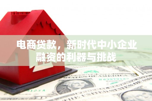 德格电商贷款，新时代中小企业融资的利器与挑战