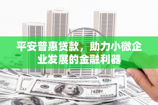 德格平安普惠贷款，助力小微企业发展的金融利器