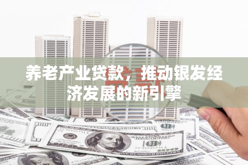 德格养老产业贷款，推动银发经济发展的新引擎