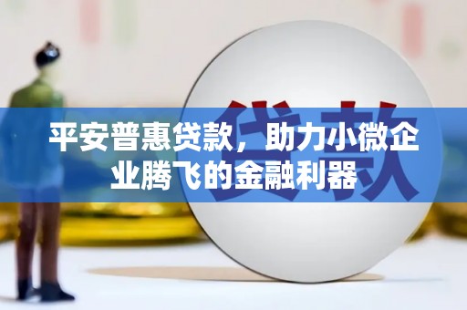 德格平安普惠贷款，助力小微企业腾飞的金融利器