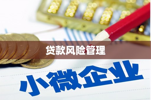 德格贷款风险管理