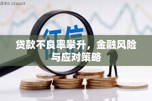 德格贷款不良率攀升，金融风险与应对策略