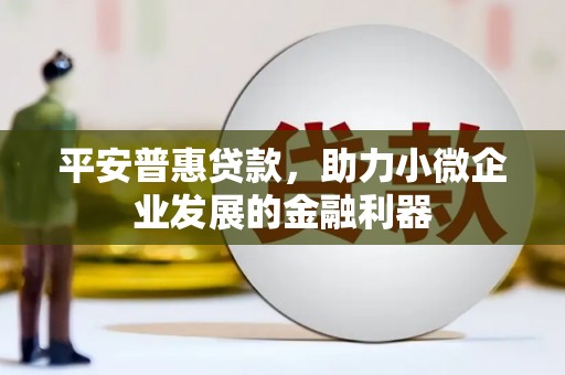 德格平安普惠贷款，助力小微企业发展的金融利器