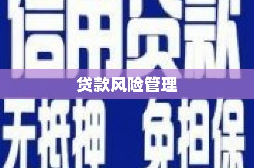 德格贷款风险管理