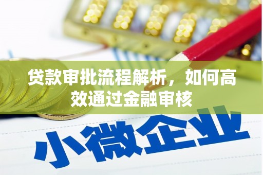 德格贷款审批流程解析，如何高效通过金融审核