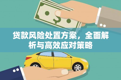 德格贷款风险处置方案，全面解析与高效应对策略