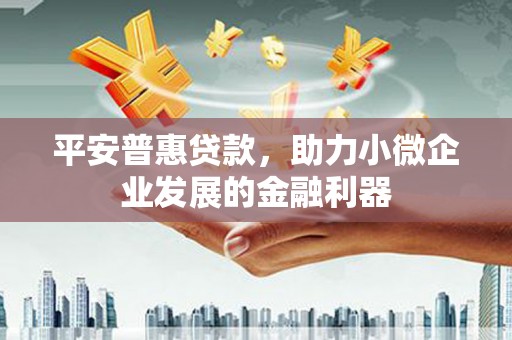 德格平安普惠贷款，助力小微企业发展的金融利器
