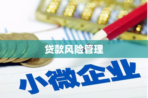 德格贷款风险管理