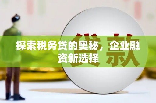 德格探索税务贷的奥秘，企业融资新选择