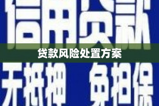 德格贷款风险处置方案