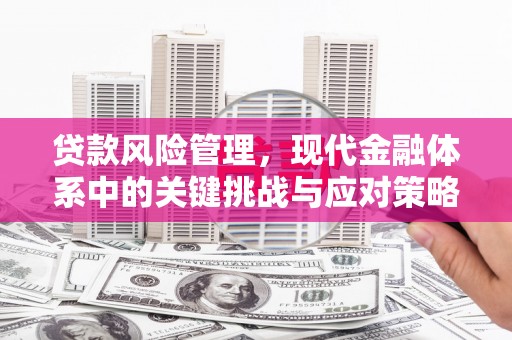 德格贷款风险管理，现代金融体系中的关键挑战与应对策略