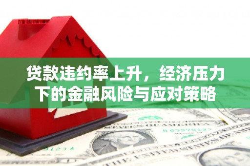 德格贷款违约率上升，经济压力下的金融风险与应对策略