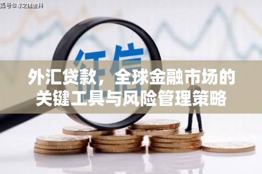 德格外汇贷款，全球金融市场的关键工具与风险管理策略