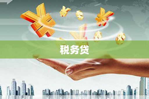 德格税务贷