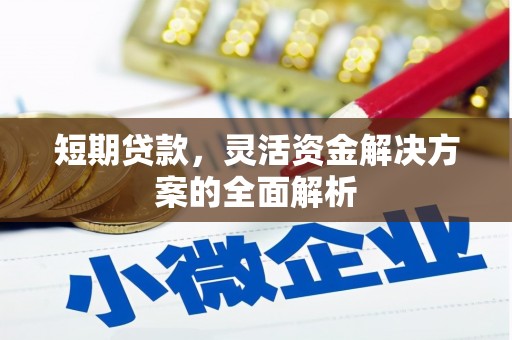 德格短期贷款，灵活资金解决方案的全面解析