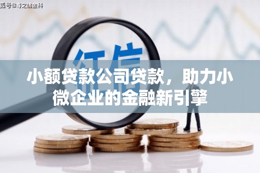 德格小额贷款公司贷款，助力小微企业的金融新引擎