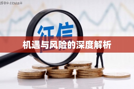 德格机遇与风险的深度解析