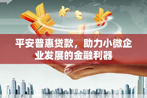 德格平安普惠贷款，助力小微企业发展的金融利器