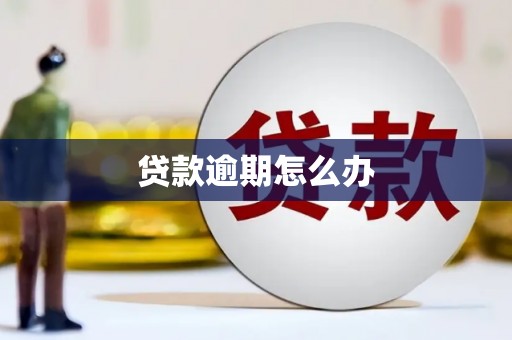 德格贷款逾期怎么办