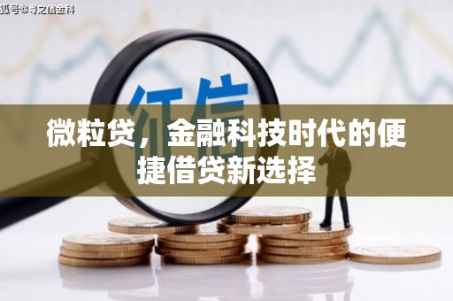 德格微粒贷，金融科技时代的便捷借贷新选择