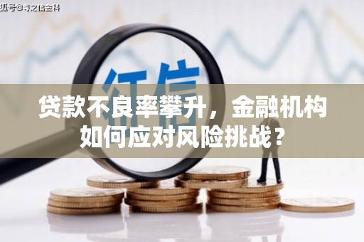 德格贷款不良率攀升，金融机构如何应对风险挑战？