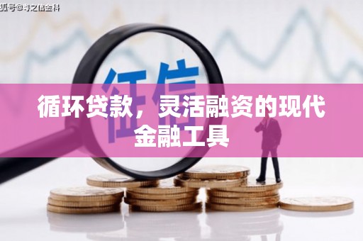 德格循环贷款，灵活融资的现代金融工具
