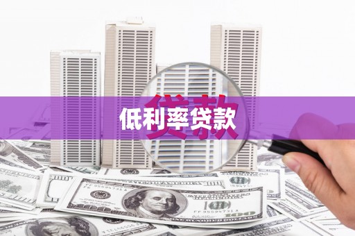德格低利率贷款