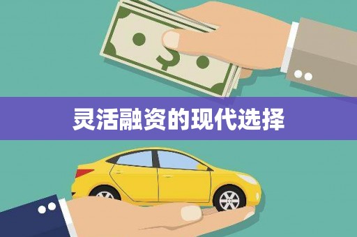 德格灵活融资的现代选择