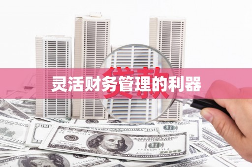 德格灵活财务管理的利器