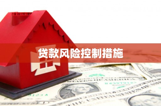 德格贷款风险控制措施