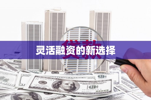 德格灵活融资的新选择