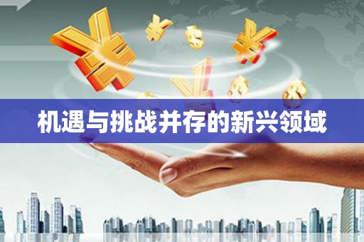 德格机遇与挑战并存的新兴领域