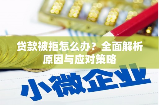 德格贷款被拒怎么办？全面解析原因与应对策略