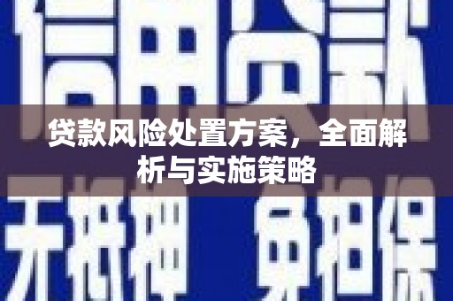 德格贷款风险处置方案，全面解析与实施策略