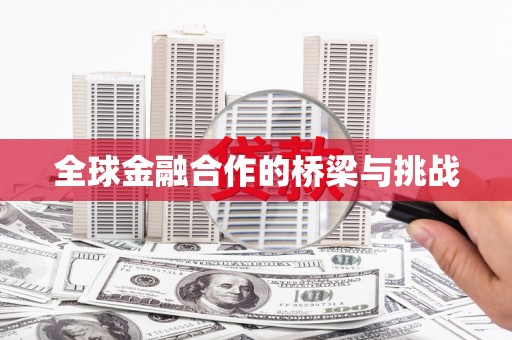 德格全球金融合作的桥梁与挑战