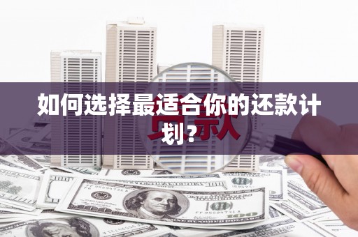 德格如何选择最适合你的还款计划？